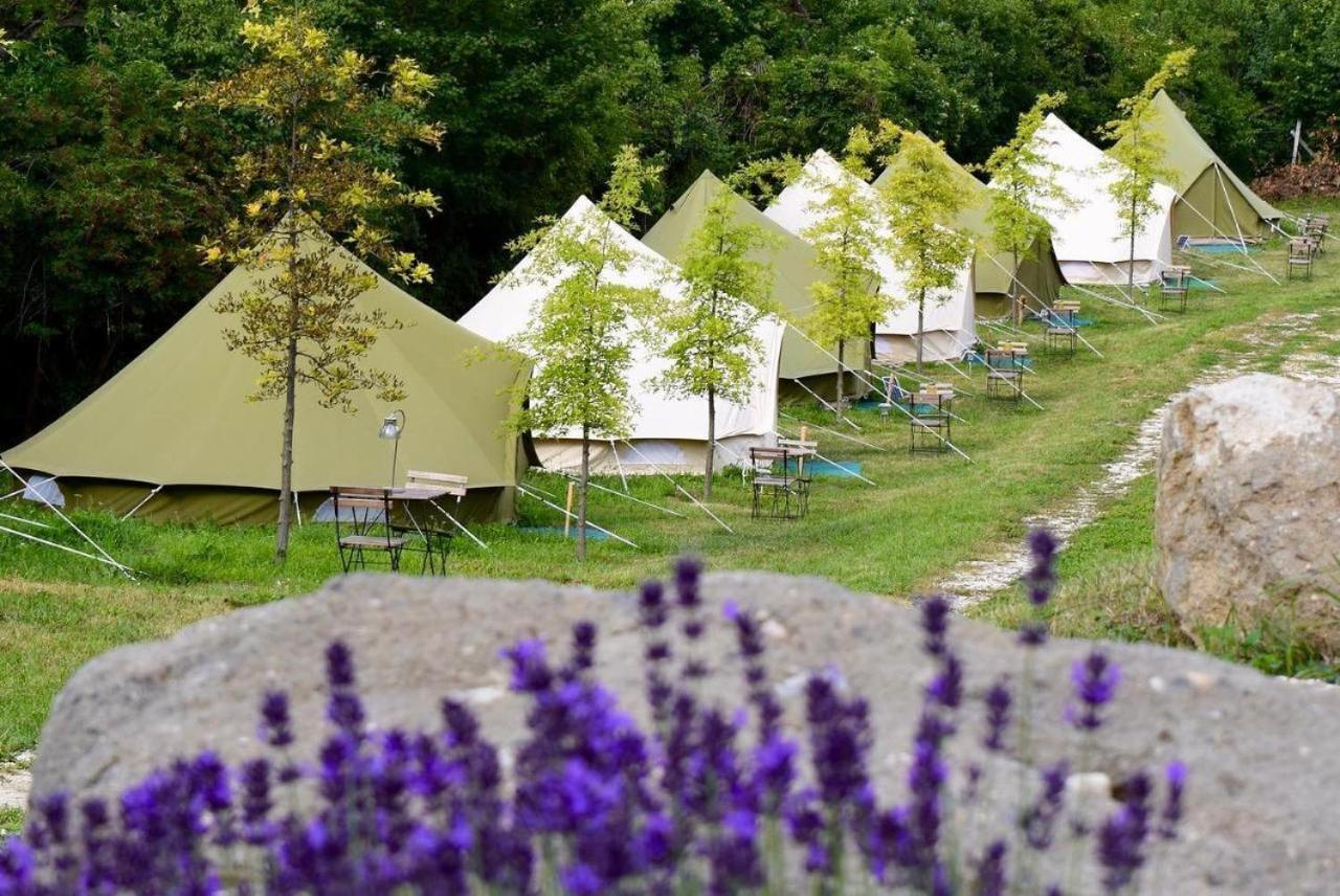 Camping Glamp-inn *
